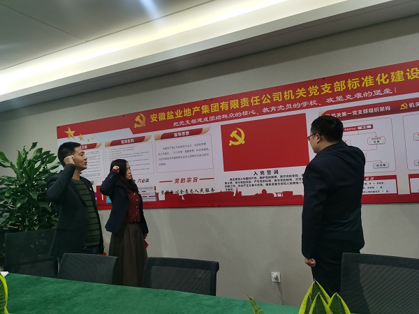 安徽鹽業(yè)地產(chǎn)集團(tuán)機(jī)關(guān)第一黨支部開(kāi)展“佩黨徽、誦誓詞、贈(zèng)黨章、上黨課”黨員教育活動(dòng)